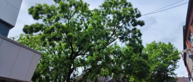 Event-Image for 'Stadtnatur im Alltag'