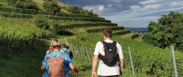 Event-Image for 'Genusswanderung mit Weinverkostung am Hohentwiel'