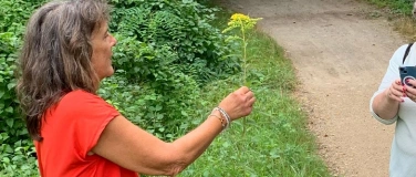 Event-Image for 'Kräuterspaziergang in Niederlenz'