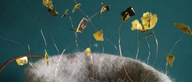 Event-Image for 'Ausstellung "Über Landschaften und Tierparaden"'
