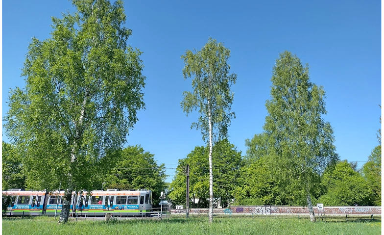 Event-Image for 'Bundeshauptversammlung 2026 (TEST)'