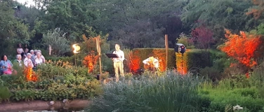 Event-Image for 'Nacht am Teich, "Summer Dreams"'