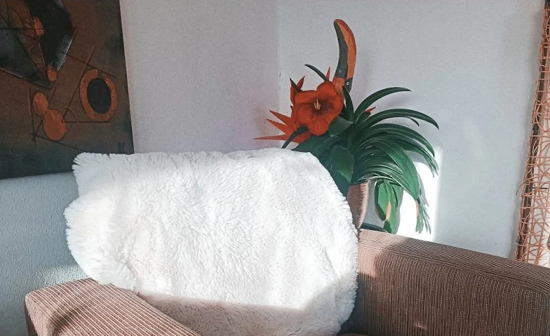 Event-Image for 'Gruppenhypnose in Satzvey'