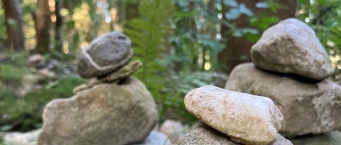 Event-Image for 'Auf der Suche nach gelingender Erziehung'