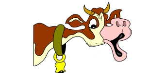 Event organiser of 18. Showtanzfestival