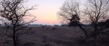 Event-Image for 'Was tut sich am Abend in der Heide?'