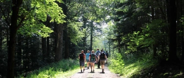 Event-Image for 'Singlewanderung: Bad Liebenzell - Monbachtal (25-40 J.)'