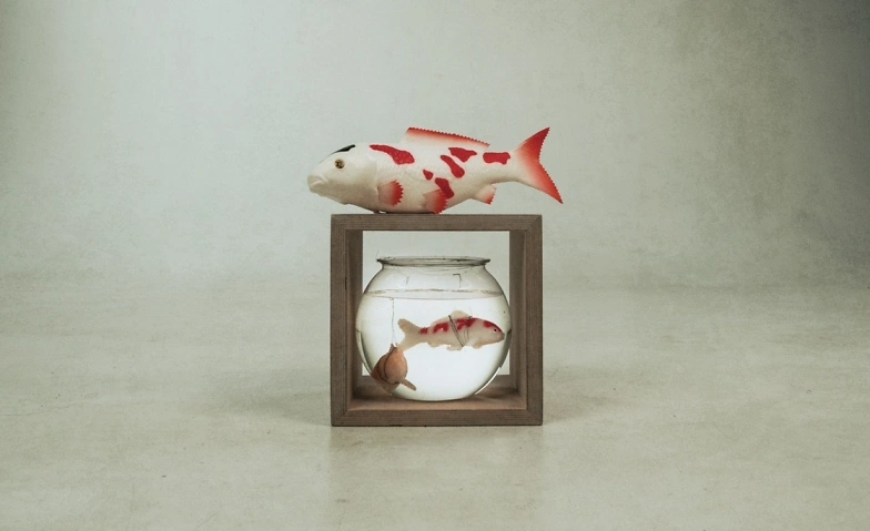 Aquarium Tickets