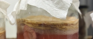 Event-Image for 'KOMBUCHA & probiotische GETR&Auml;NKE KURS'