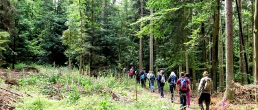 Event-Image for 'Singlewanderung: Hauensteiner Schusterpfad (25-40 J.)'