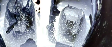 Event-Image for 'sonic somatics - embodied listening session'