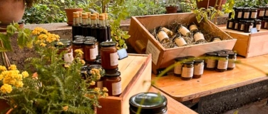 Event-Image for 'Sommermarkt'