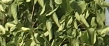 Event-Image for 'Die Tageb&uuml;cher von Adam und Eva - Szenische Lesung'