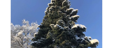 Event-Image for 'Benz am Weihnachtsdonnstag von Jeremias Gotthelf'