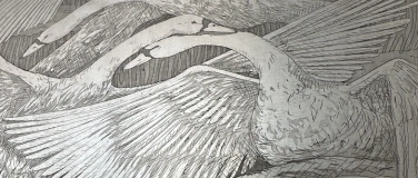 Event-Image for 'Druckgrafik: Radierung, Aquatinta'