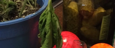 Event-Image for 'Anton Tschechov: Heitere Geschichten'