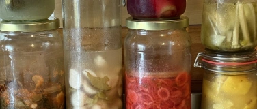 Event-Image for 'FERMENT / EINMACH KURS auf dem Land'