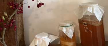 Event-Image for 'KOMBUCHA & vergorene GETR&Auml;NKE KURS'