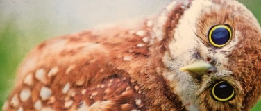 Event-Image for 'Hurra! Die Hesse komme! Heiteres uff Hessisch!'