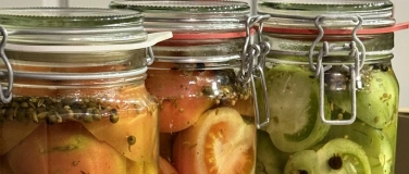 Event-Image for 'FERMENT / EINMACH KURS auf dem Land'