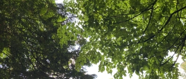 Event-Image for 'Baum Meditation im Schadaupark'