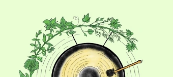 Event organiser of Fr&uuml;lingserwachen Cacao und Gongbad