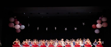 Event-Image for 'Ballet for everyone - Primary Ballet Show'