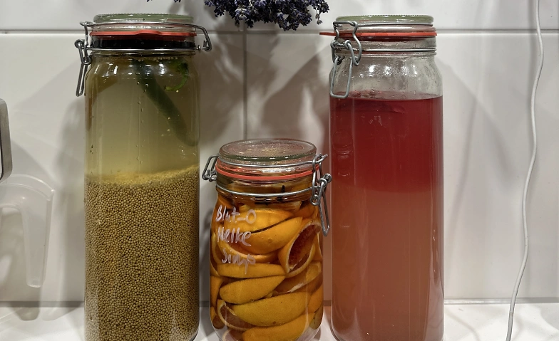 FERMENTATION f&uuml;r Anf&auml;ger:innen KURS Billets