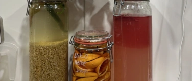 Event-Image for 'FERMENTATION für Anfäger:innen KURS (Kopie)'
