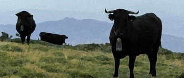 Event-Image for 'Spanish Night: Paint & Sip  &nbsp;El Toro edition'