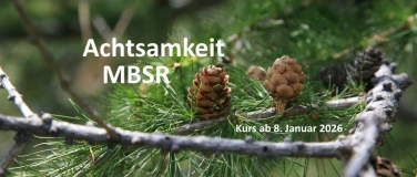 Event-Image for 'MBSR 8-Wochenkurs in Luzern'