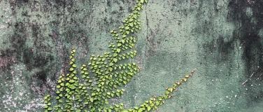 Event-Image for 'Abendgebet'