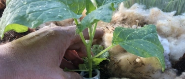 Event-Image for 'Permakultur Gartenkurs im Fr&uuml;hling'