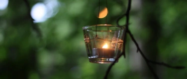 Event-Image for 'Feierabendtour im Bruchwald mit Abendbrot am Winderatter See'