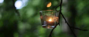 Event-Image for 'Picknick im Bruchwald'