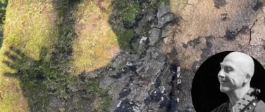 Event-Image for 'Simon Weiland: Im Wald - Acoustic Blues'