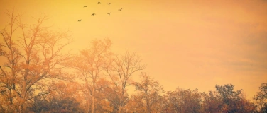 Event-Image for 'In Between Green'