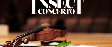 Event-Image for 'Abaco-Orchester spielt Insect Concerto & Dvorák 8. Sinfonie'