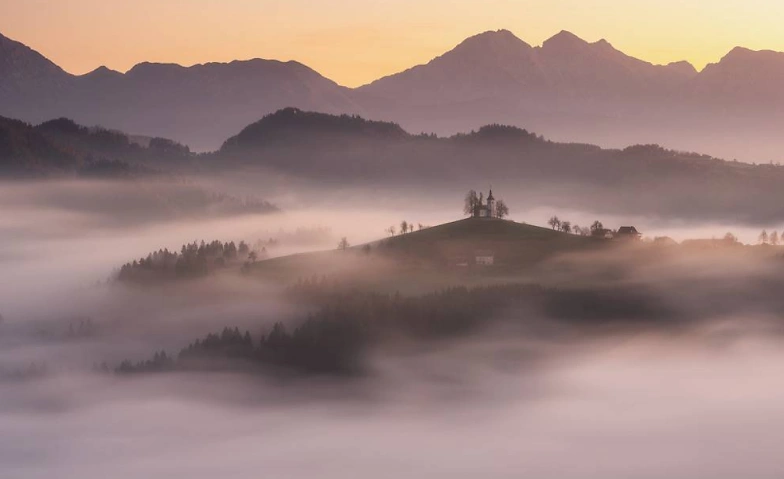 Seminare, Vortr&auml;ge und PhotoWalks Tickets