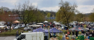 Event-Image for 'Trödeln auf dem Hemberg Parkplatz'