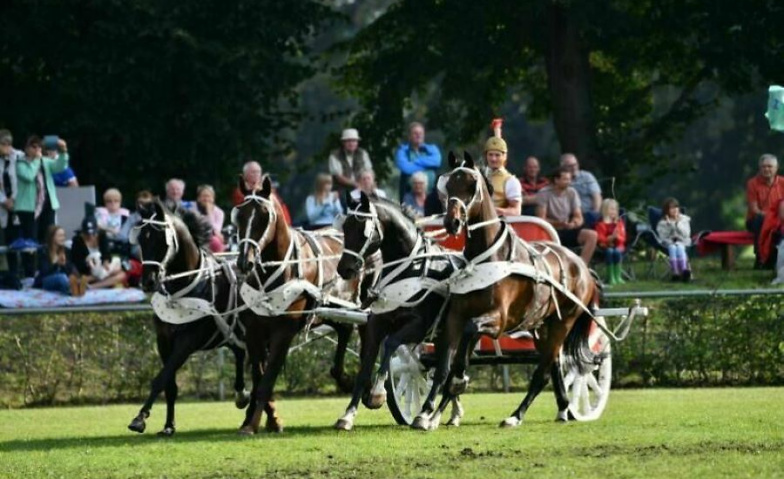 Event-Image for 'Neustädter Hengstparade 2024'