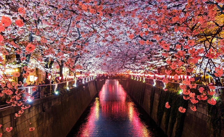 Event-Image for 'Japanisch schnuppern: Sprache & Schrift'