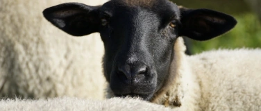 Event-Image for 'Busexkursion zu Orten des Gelingens in der Rh&ouml;n'