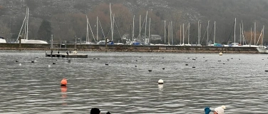 Event-Image for 'K&auml;ltebaden im Bielersee'