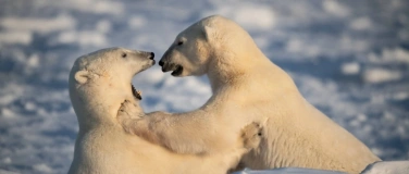 Event-Image for 'Kanada & Alaska - Into the Wild'