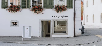 Veranstalter:in von Vernissage