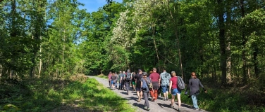 Event-Image for 'Singlewanderung: Schwarzwald: Loßburg (25-40 J.)'