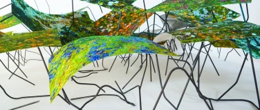 Event-Image for 'Markus Reich, Unendliche Ferne der Blumenwelt'