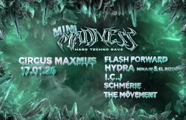 Event-Image for 'MINI MADNESS'