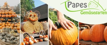 Event-Image for 'Kürbisscheune bei Papes Gemüsegarten'